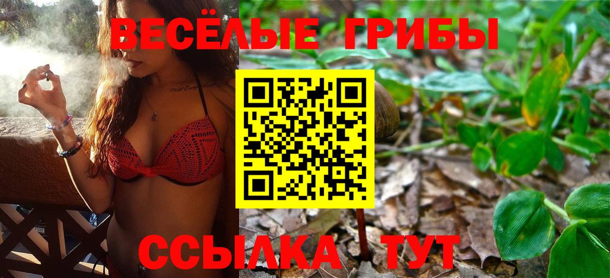 дарнет шоп  Вход с VPN  Коммунар  Псилоцибиновые грибы MAGIC MUSHROOMS 